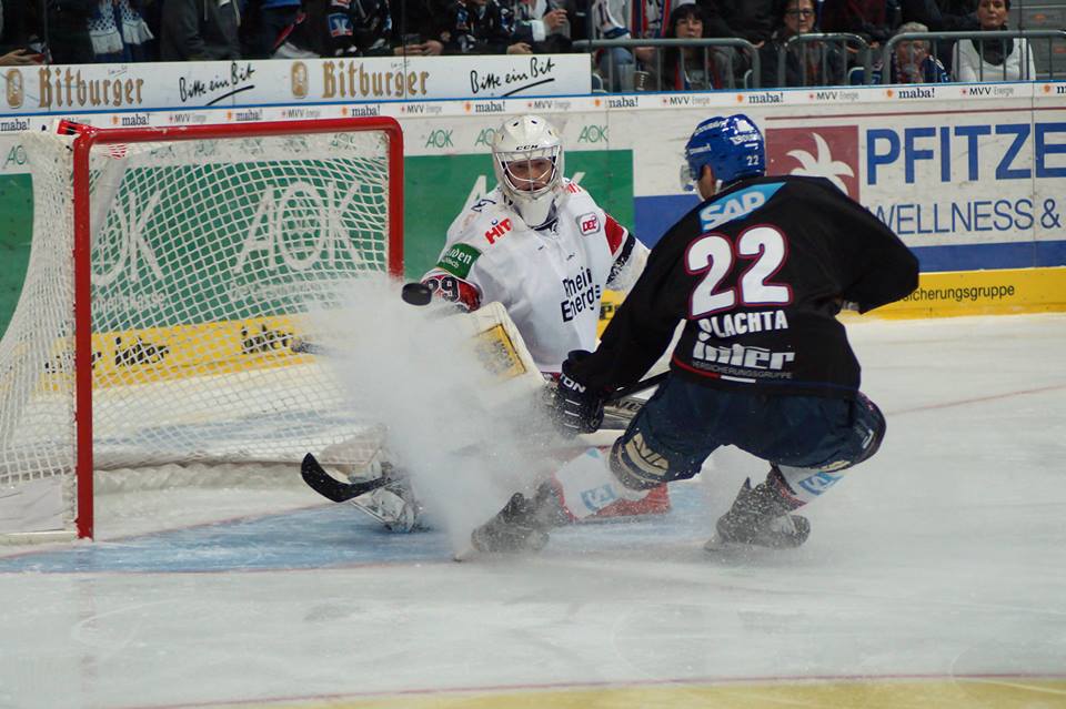 mannheim haie 16122016 1