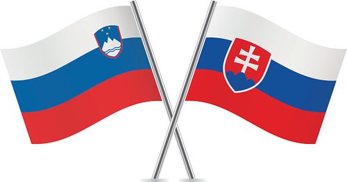98766537 slovenia and slovakia flags vector